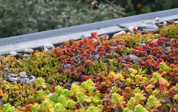 the cost of Muckleford green roof installation